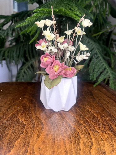 گلدان شش پر مخصوص گل کاکتوس طبیعی و گلدان دکوری