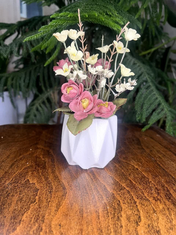 گلدان شش پر مخصوص گل کاکتوس طبیعی و گلدان دکوری